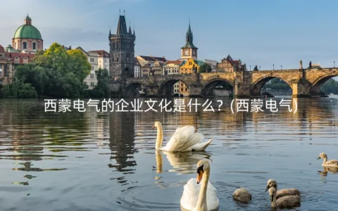 西蒙电气的企业文化是什么？(西蒙电气)