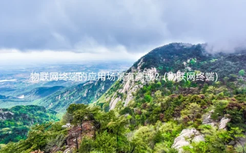 物联网终端的应用场景有哪些？(物联网终端)