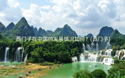 西门子在中国的发展情况如何？(西门子)