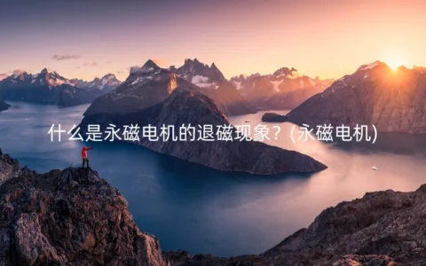 什么是永磁电机的退磁现象？(永磁电机)