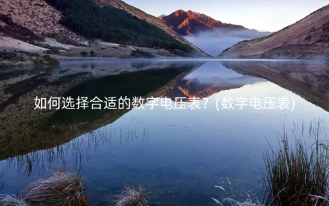 如何选择合适的数字电压表？(数字电压表)