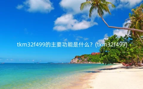 tkm32f499的主要功能是什么？(tkm32f499)