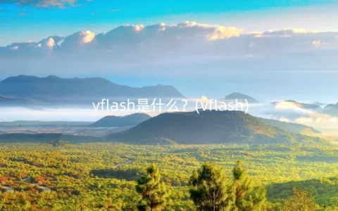 vflash是什么？(vflash)