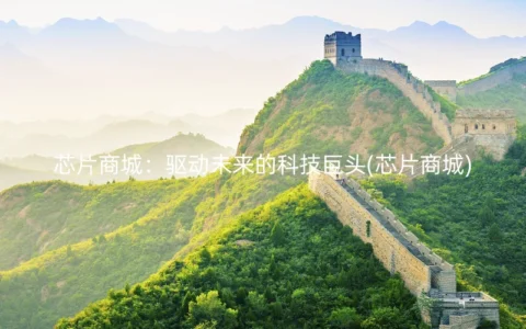 芯片商城：驱动未来的科技巨头(芯片商城)