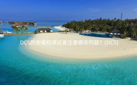 DCS的安装和调试要注意哪些问题？(DCS)