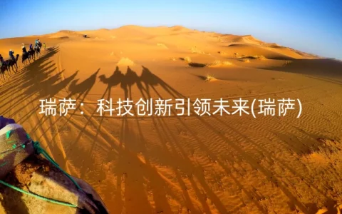 瑞萨：科技创新引领未来(瑞萨)