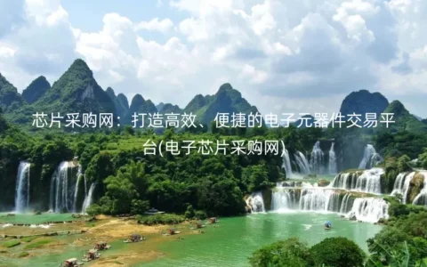芯片采购网：打造高效、便捷的电子元器件交易平台(电子芯片采购网)