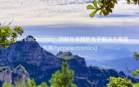 Tyco Electronics：创新与卓越的电子解决方案提供商(tycoelectronics)