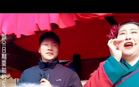 “开封王婆”勇闯提灯定损地，说媒出场费不低，背后原因不简单