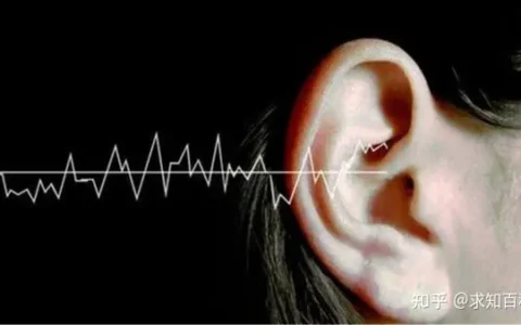 人死后不久能不能听到声音？