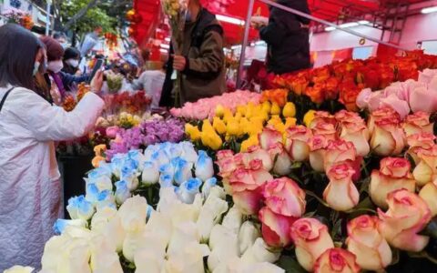 520去哪里捡花合适?