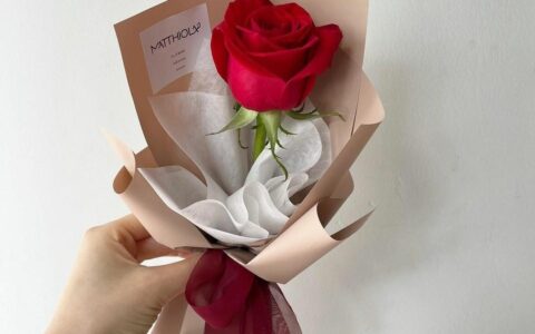 520送花指南，还不知道怎么选花的直男直女看过来