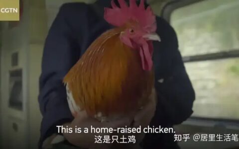 “最美慢火车”票价低至1块，多年不涨价，这是60年的暖心坚守