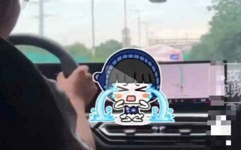 女子目睹网约司机半路接电话后暴哭，成年人的崩溃只在一瞬间！