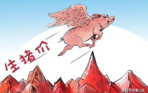 原创
            涨了，猪价“涨翻天”！附：6月11日猪价行情-6月11日猪价下跌