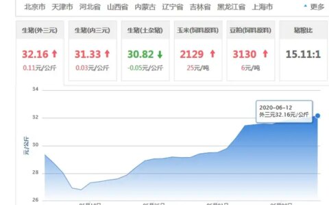 猪价“涨势不停”，国家咋不接着投放冻肉？看完成交量，明白了！-猪价国家不管吗