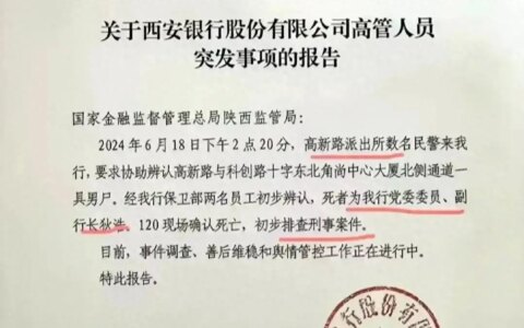 年薪百万的城商行副行长坠楼，评论区炸锅了-城商行行长级别