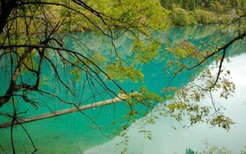 李白与汪伦在桃花潭对饮大醉尽欢而散，究竟发生了什么？-汪伦是怎么忽悠李白的桃花潭