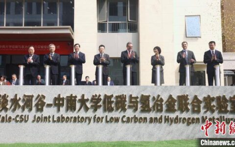 巴西矿业巨头与中国高校合作启动低碳与氢冶金联合实验室-巴西采矿业发达吗
