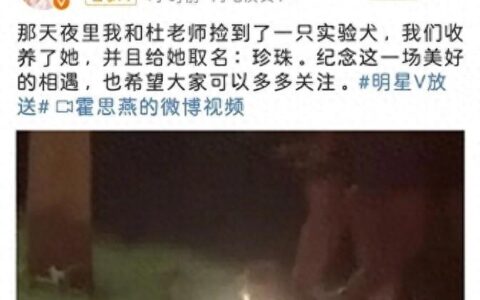 霍思燕杜江领养实验犬？3天后变化惊人，网友：这才是真明星-杜江霍思燕分居
