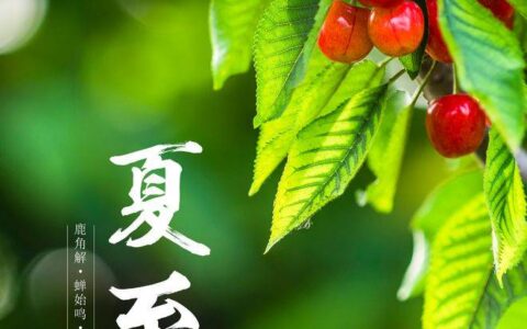 养生｜今日夏至，中医专家教你如何养生-中医夏季养生之道