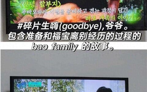 韩国计划拍熊猫电影引热议，将与日本进行差距对比-韩国熊猫综艺