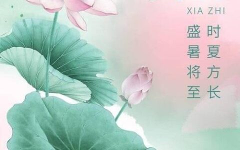 夏至节气如何养生？-夏至节气养生要诀