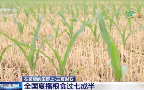 过七成半，全国夏播粮食进度条更新-全国夏粮收购工作会议召开时间