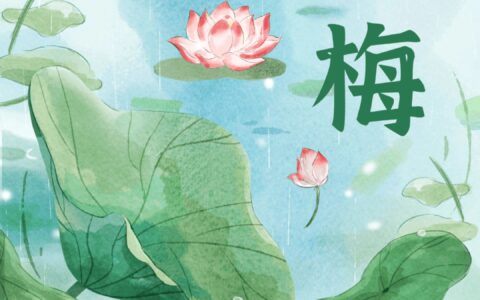 官宣！舟山明天出梅！-舟山接下来一周天气预报