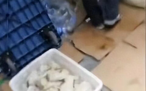 胖东来擀面皮事件赔了将近900万，但却赢得了网友一致的好评-胖东来面点陈列图片