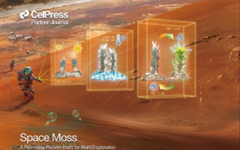 新疆科研人员发现首个有望在火星存活的植物-新疆火星基地在哪里