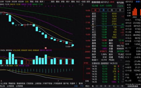 隆基绿能市值跌破千亿，光伏行业巨头“千亿俱乐部”几近瓦解，仅阳光电源一家独存-隆基绿能科技股份有限公司简介