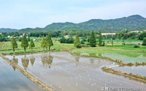今日大暑，夏天最后一个节气来了！-大暑是夏季最后一个节气