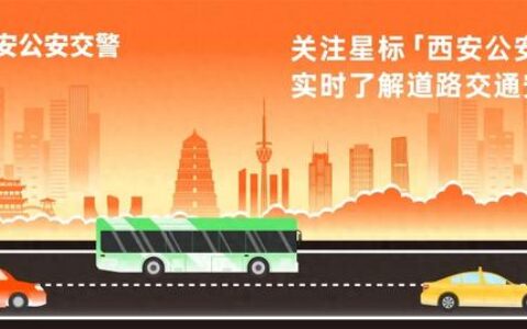 权威发布 | 2024年上半年全国机动车达4.4亿辆 驾驶人达5.32亿人 新能源汽车保有量达2472万辆-全国机动车驾驶人数量