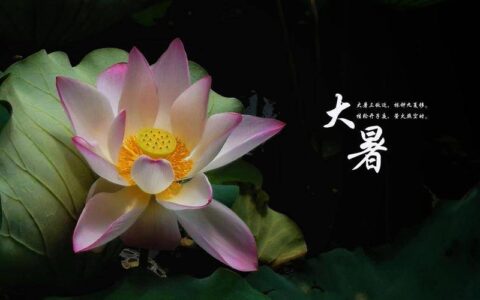 大暑节气，是夏季的最后一个节气-大暑之后的节气是处暑吗