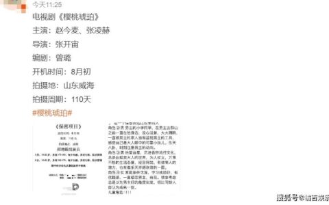赵今麦张凌赫，二搭樱桃琥珀，拍摄周期为110天-关于赵今麦的视频
