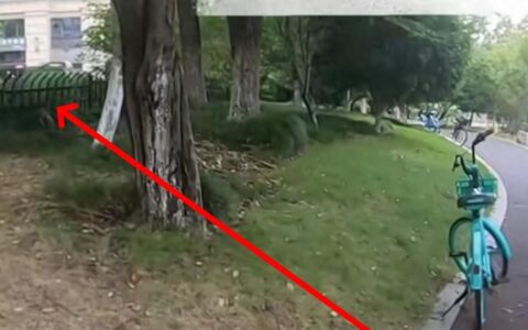 闹大了！保安逼外卖员下跪，大量骑手围攻小区，警方通报还原真相-外卖员被保安打死 妻子:都是讨生活的